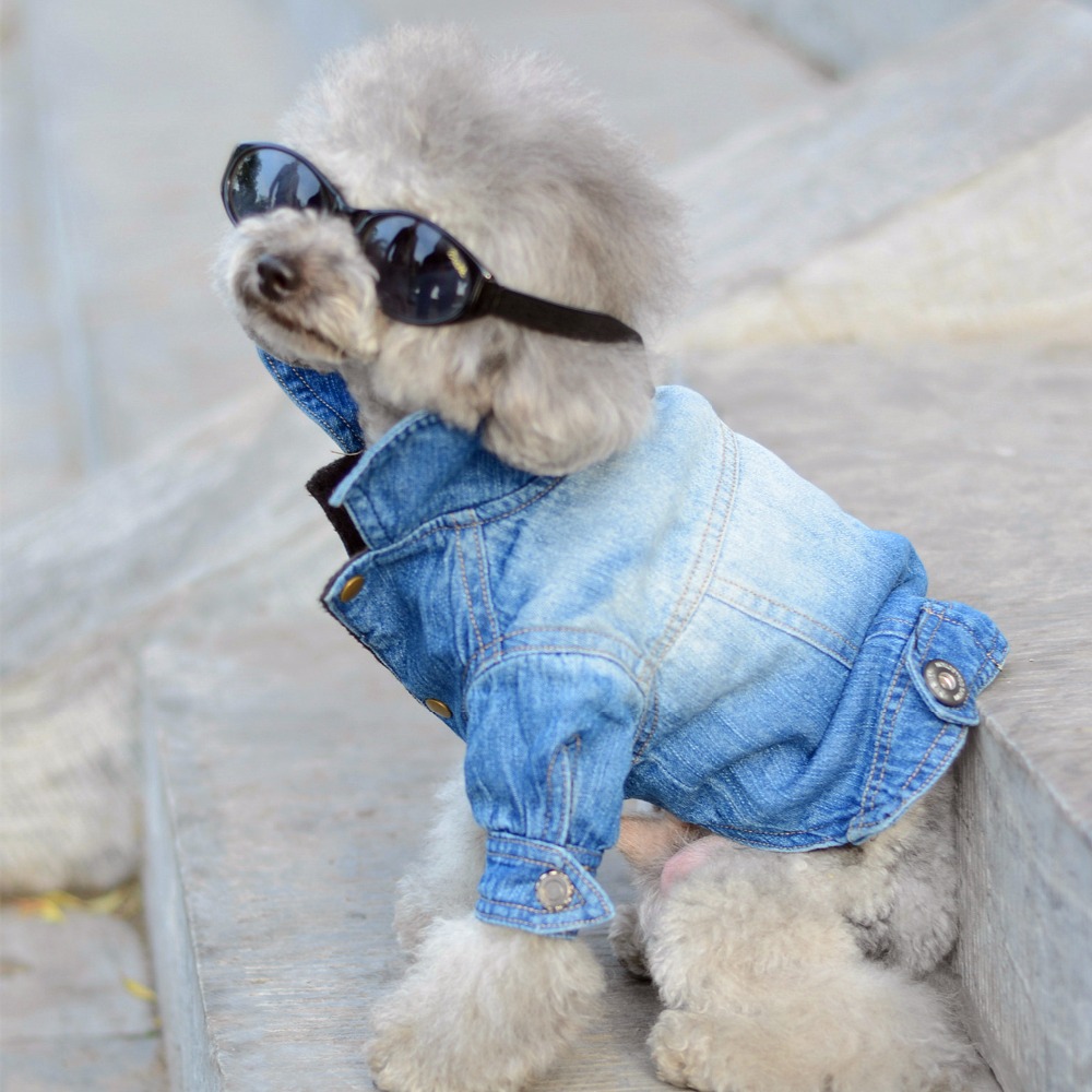 Dog Jeans jacket